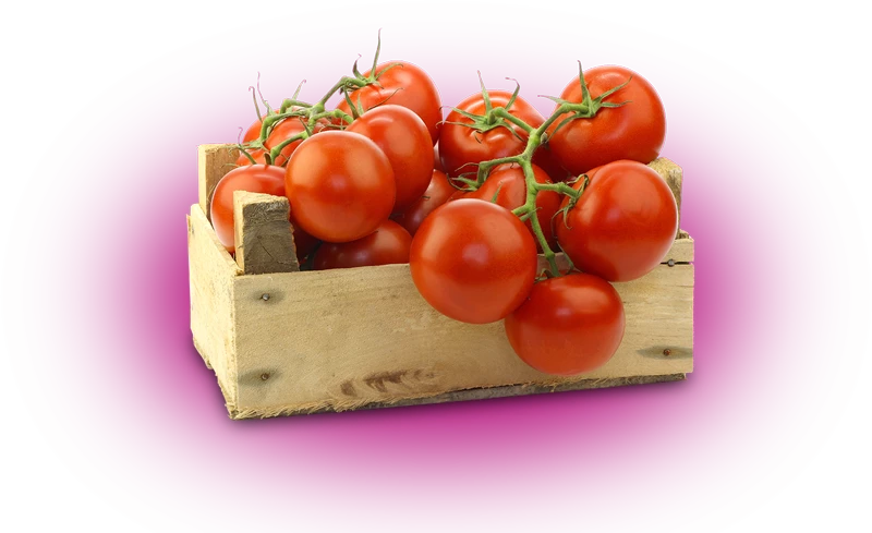 tomato